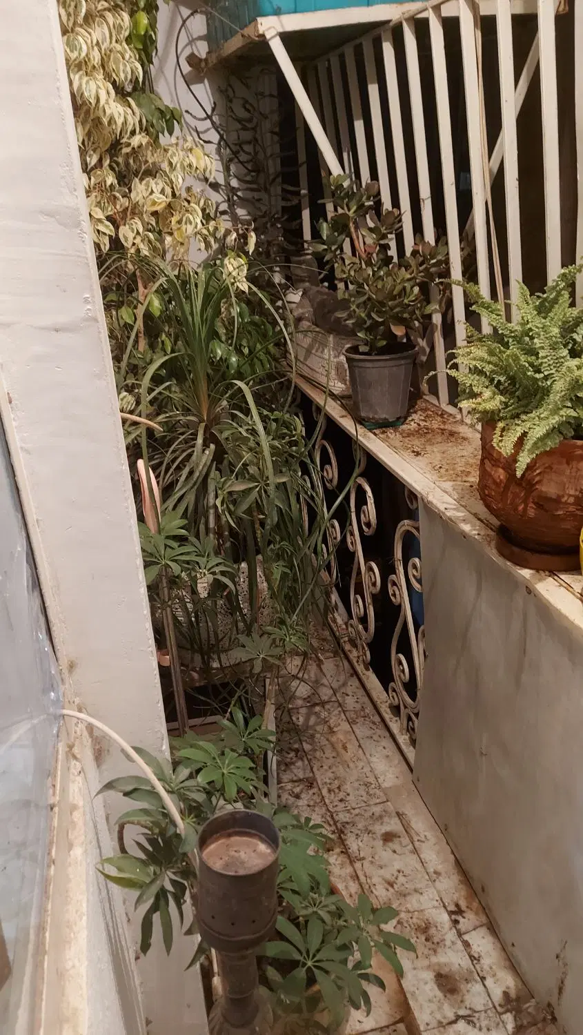 آپارتمان تک واحد