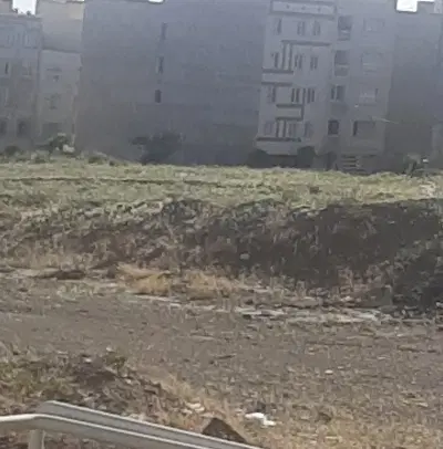 زمین
