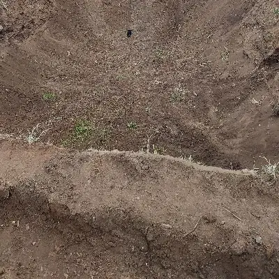 زمین کشاورزی اردها