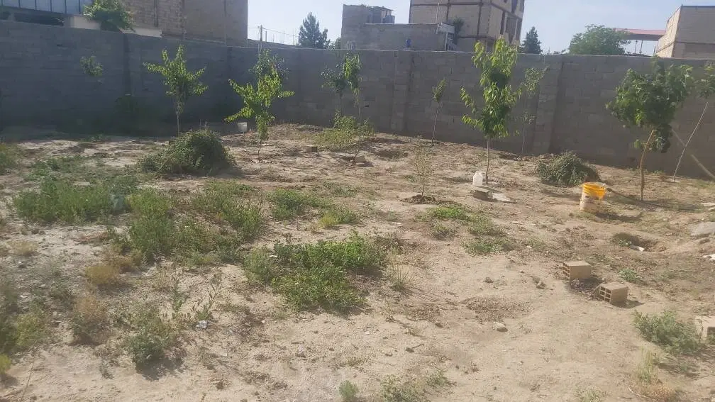 خریدار واحد