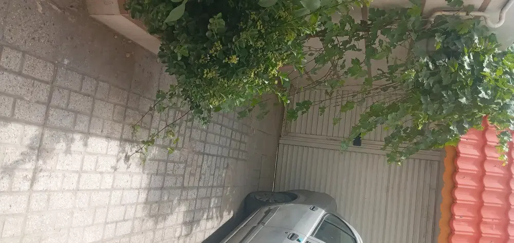 فروش منزل ویلایی