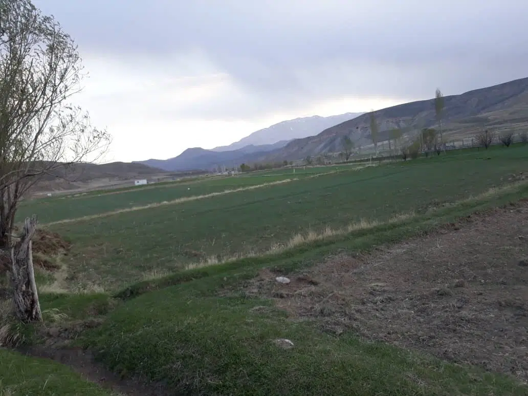 زمین کشاورزی ۱۸۳۰ متری فیروزکوه