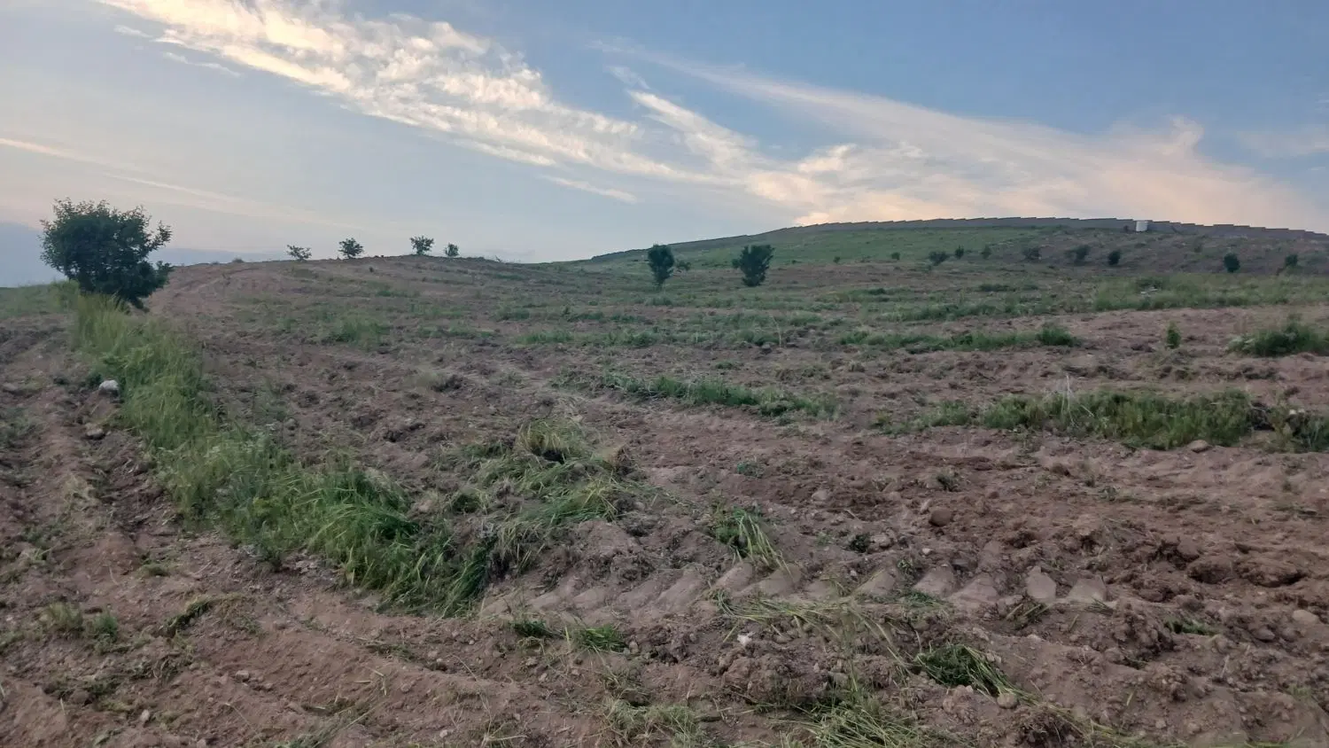 زمین باغشهری