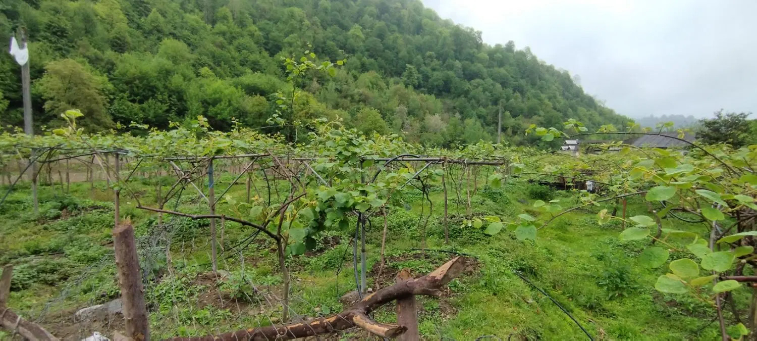 زمین با کاربری مسکونی
