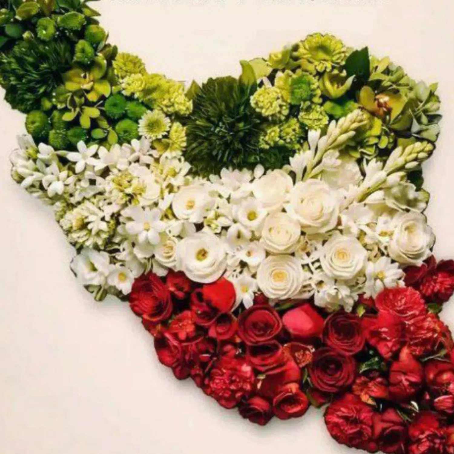 شراکت در روسری و شال
