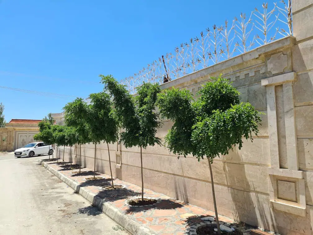 به مبلغ یک اپارتمان کوچک ۵۵۰ زمین و ۲۲۰ متر زیربنا