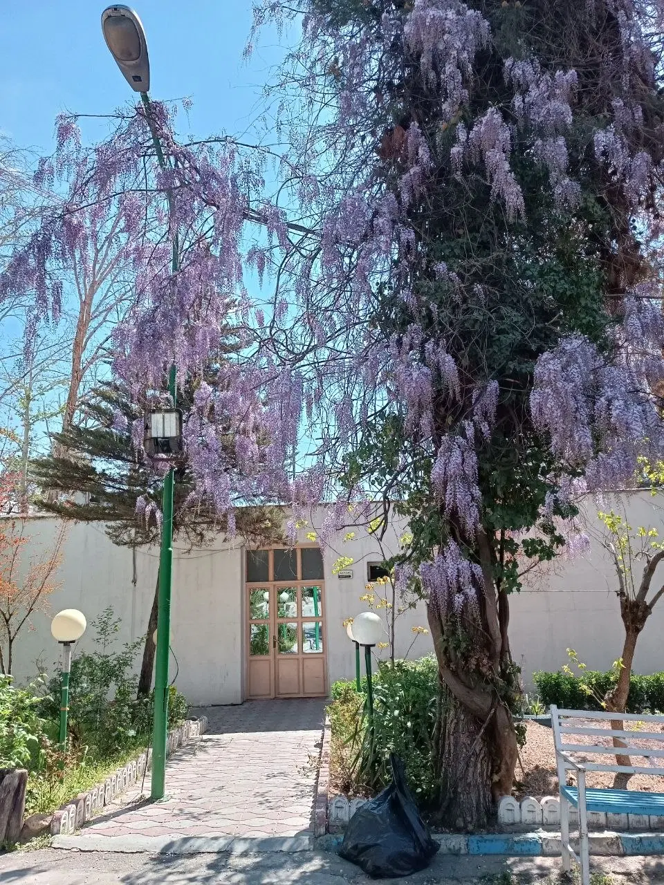 خانه برای جنوبی ها