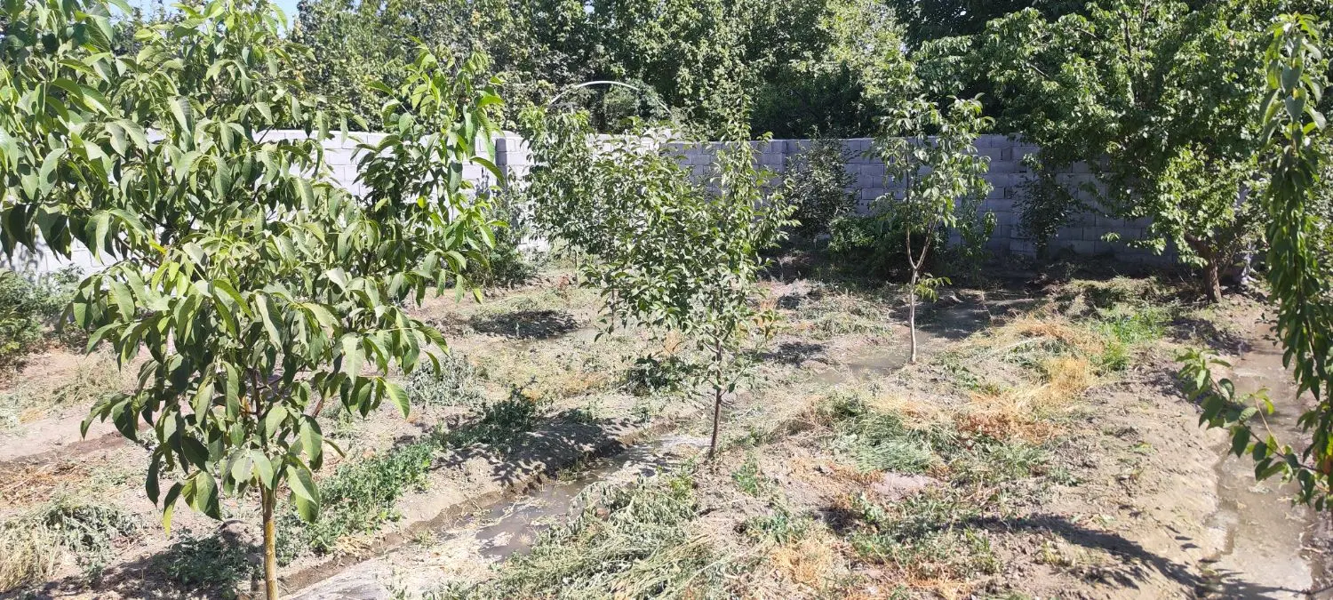 باغ ویلا سرسبز منطقه خوش آب و هوا