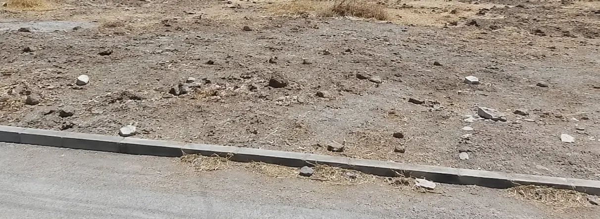 فروش زمین مسکونی  تجاری  فلسطین