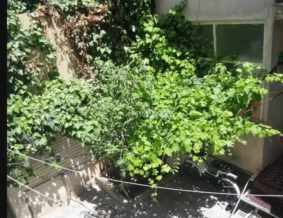 سوییت مجزا برای خانم