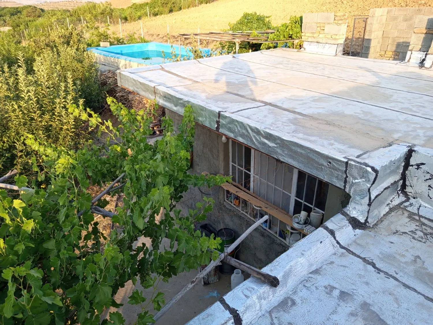 باغ حسن آباد