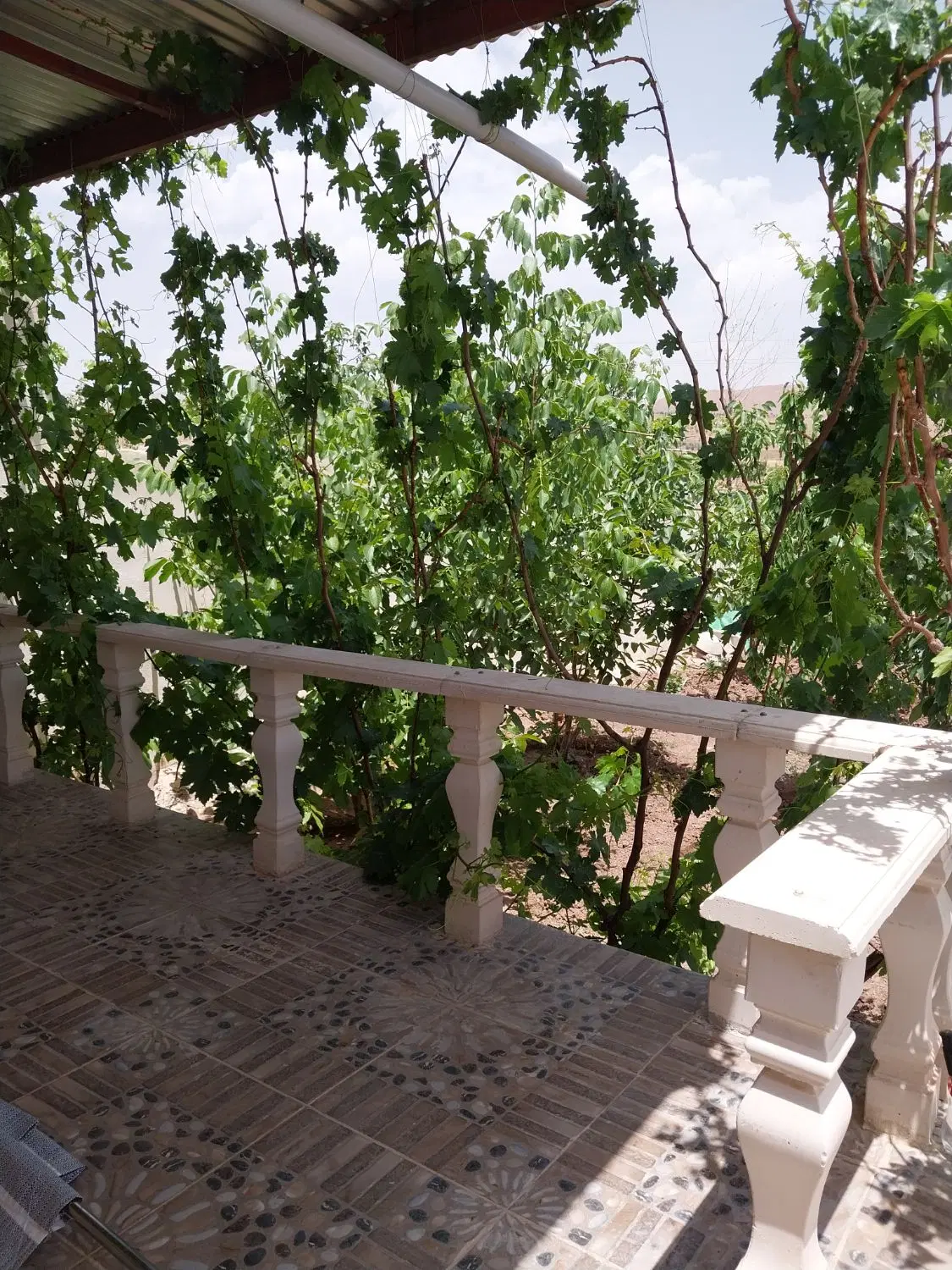 ویلا نقلی