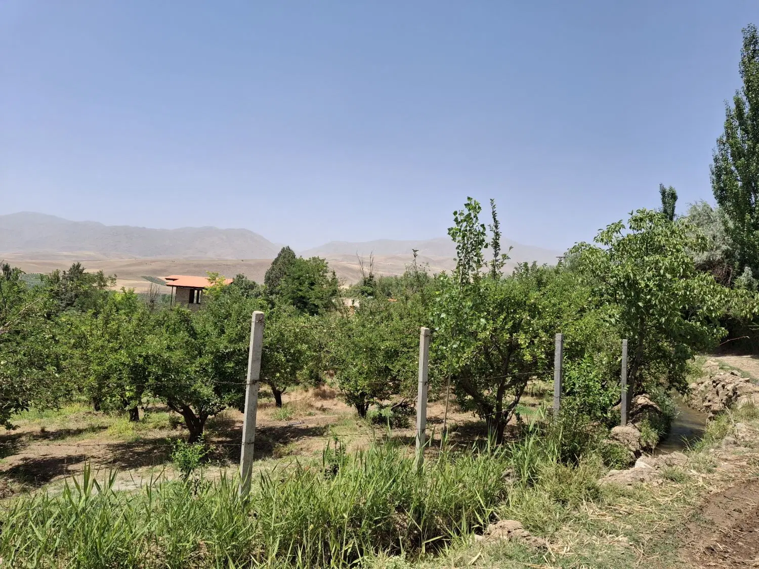 باغچه فروشی