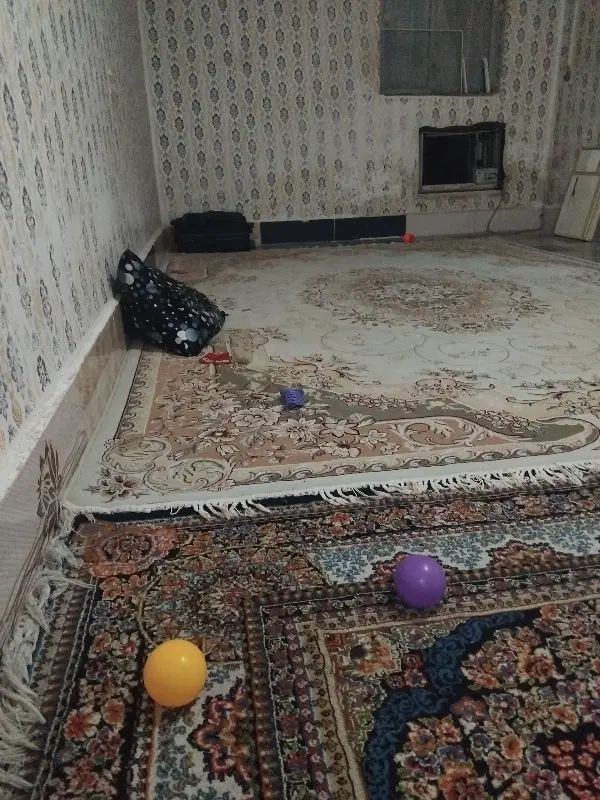نیازمند هم خانه