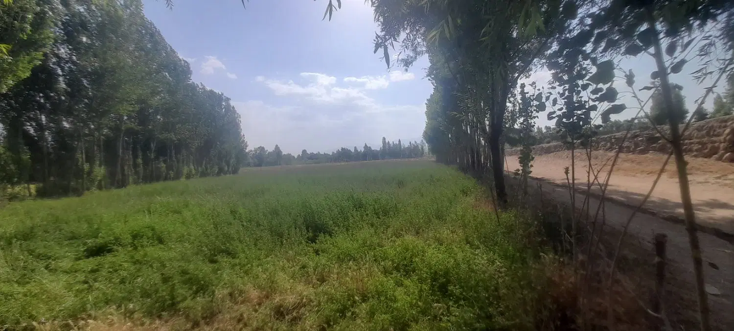 زمین روستای نوران