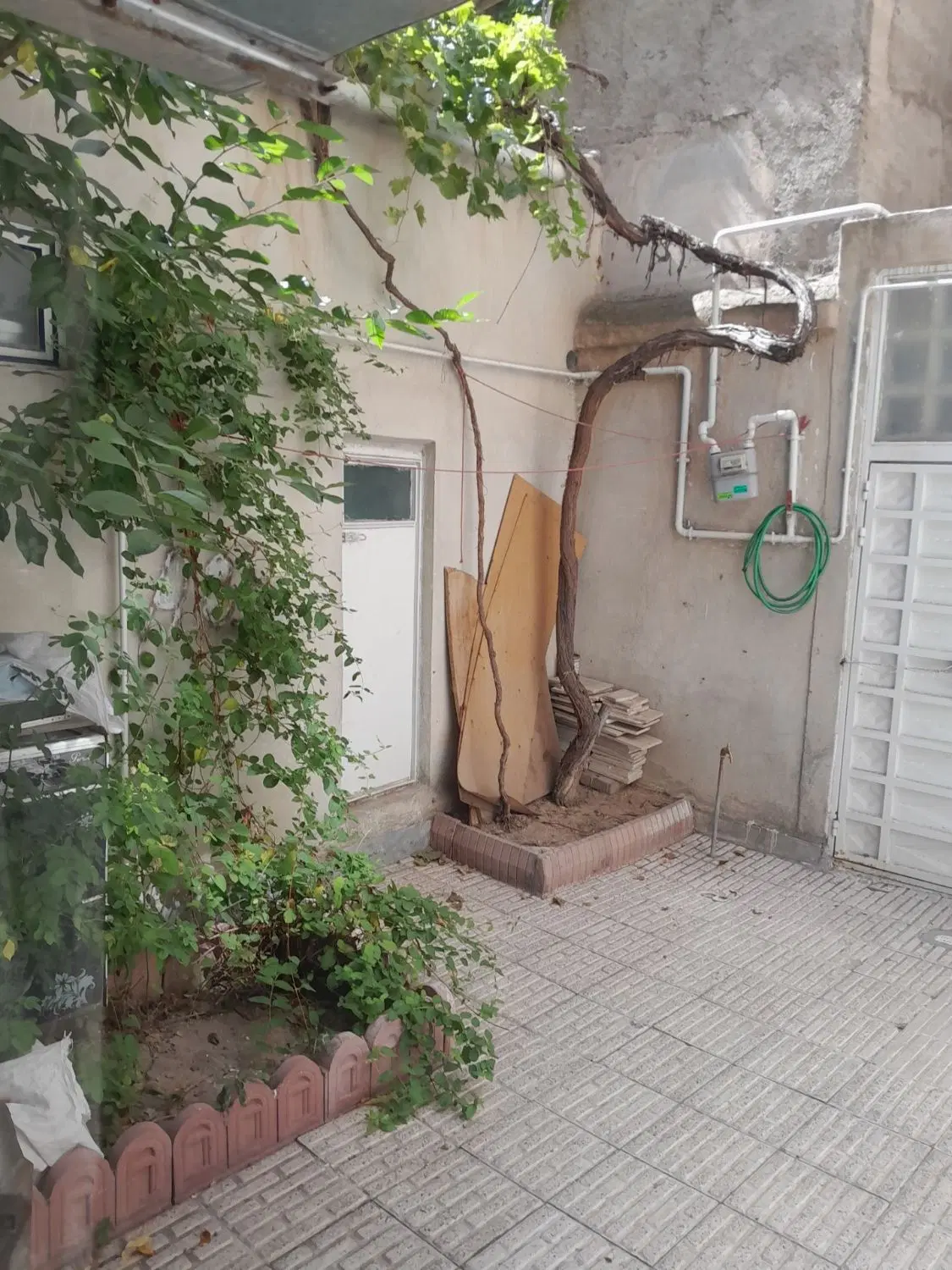 رهن اجاره خانه حیاط دار