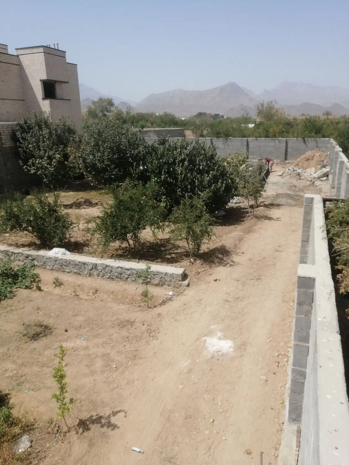 فروش باغ