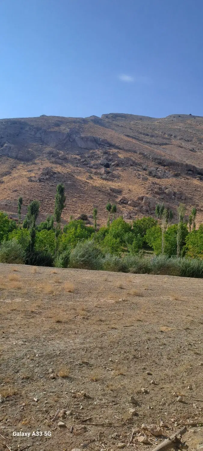 زمین کشاورزی