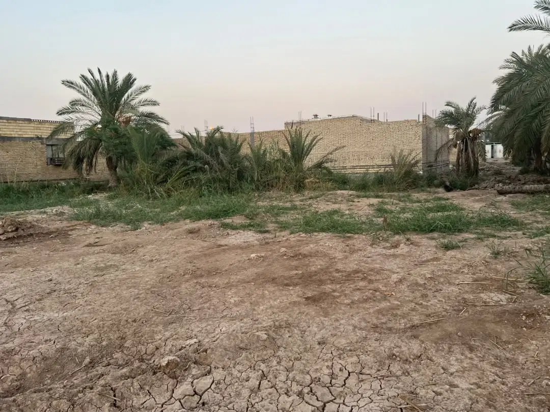 زمین فروشی در معمره صنگور