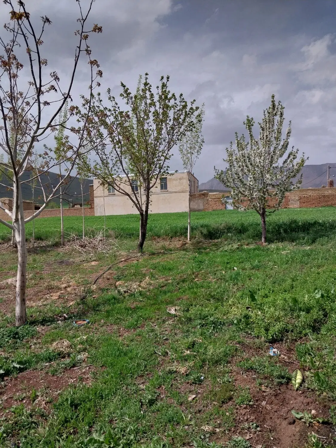 اجاره خانه