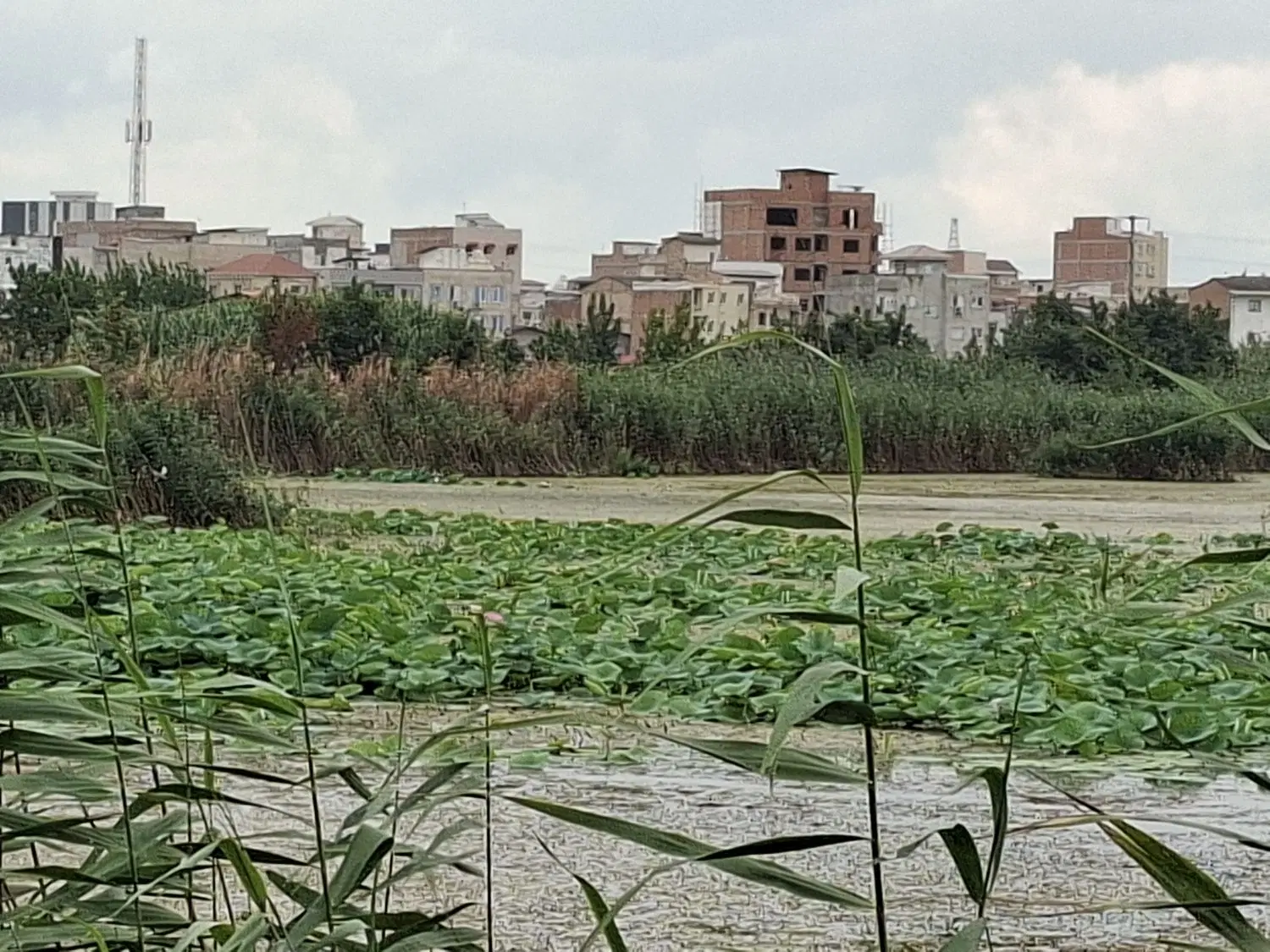 فروش زمین مسکونی