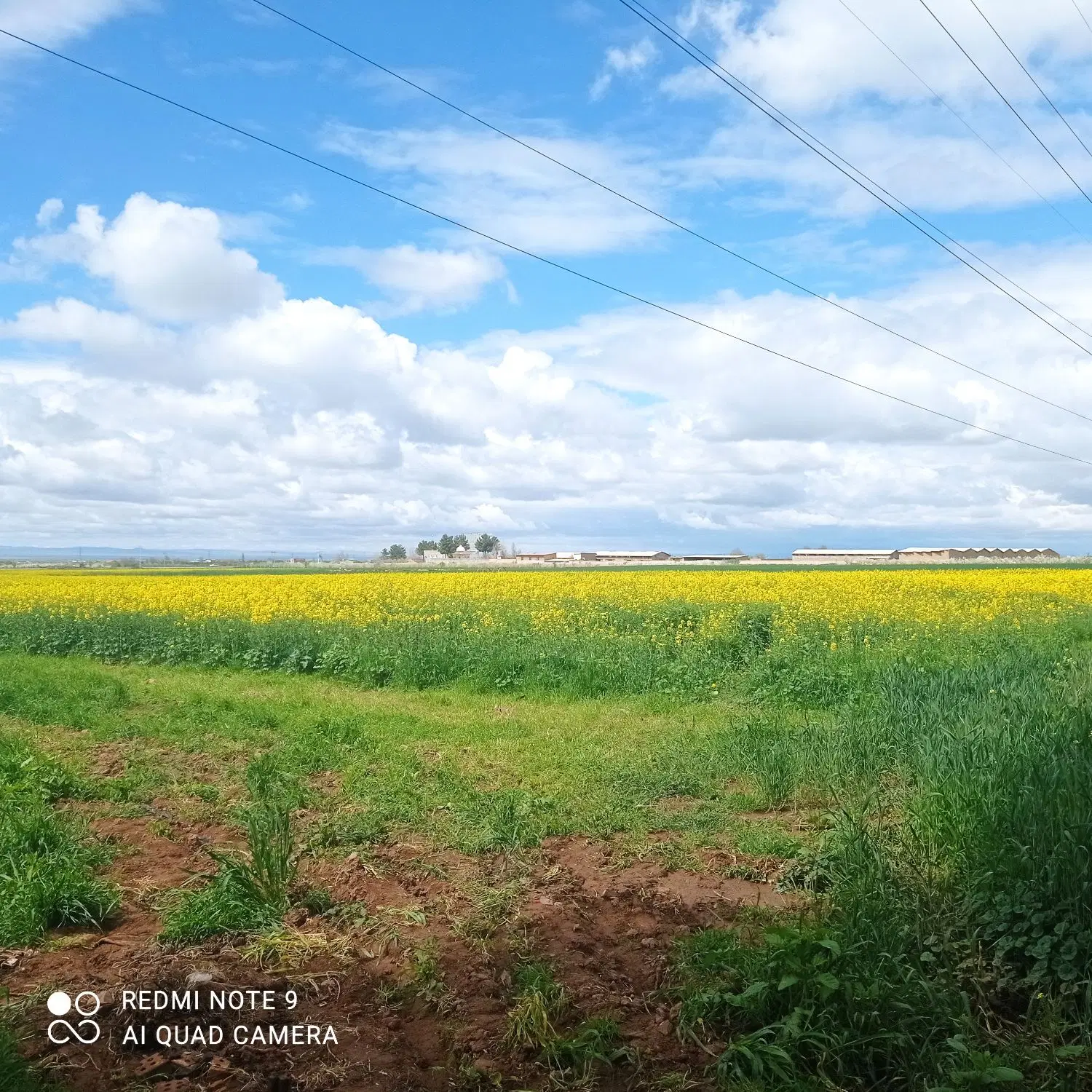 ۳۶ دقیقه آب از چاه عمیق بالای تریخسار سوقند فروشی