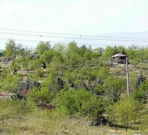 زمین ملکی سوران