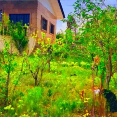 ملک کلنگی