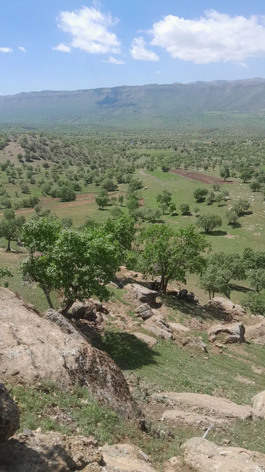خانه‌ ویلایی رجایی