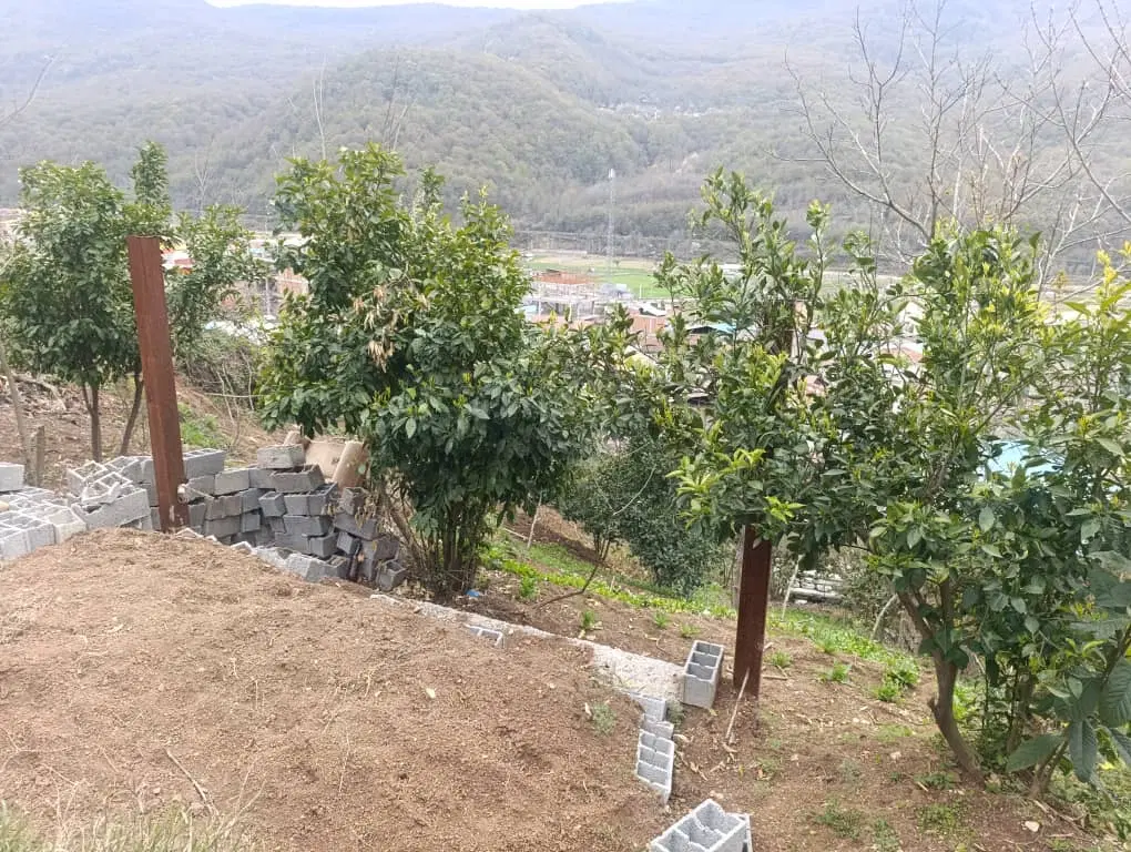 فروش زمین با ویوی عالی