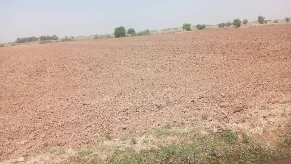 زمین کشاورزی