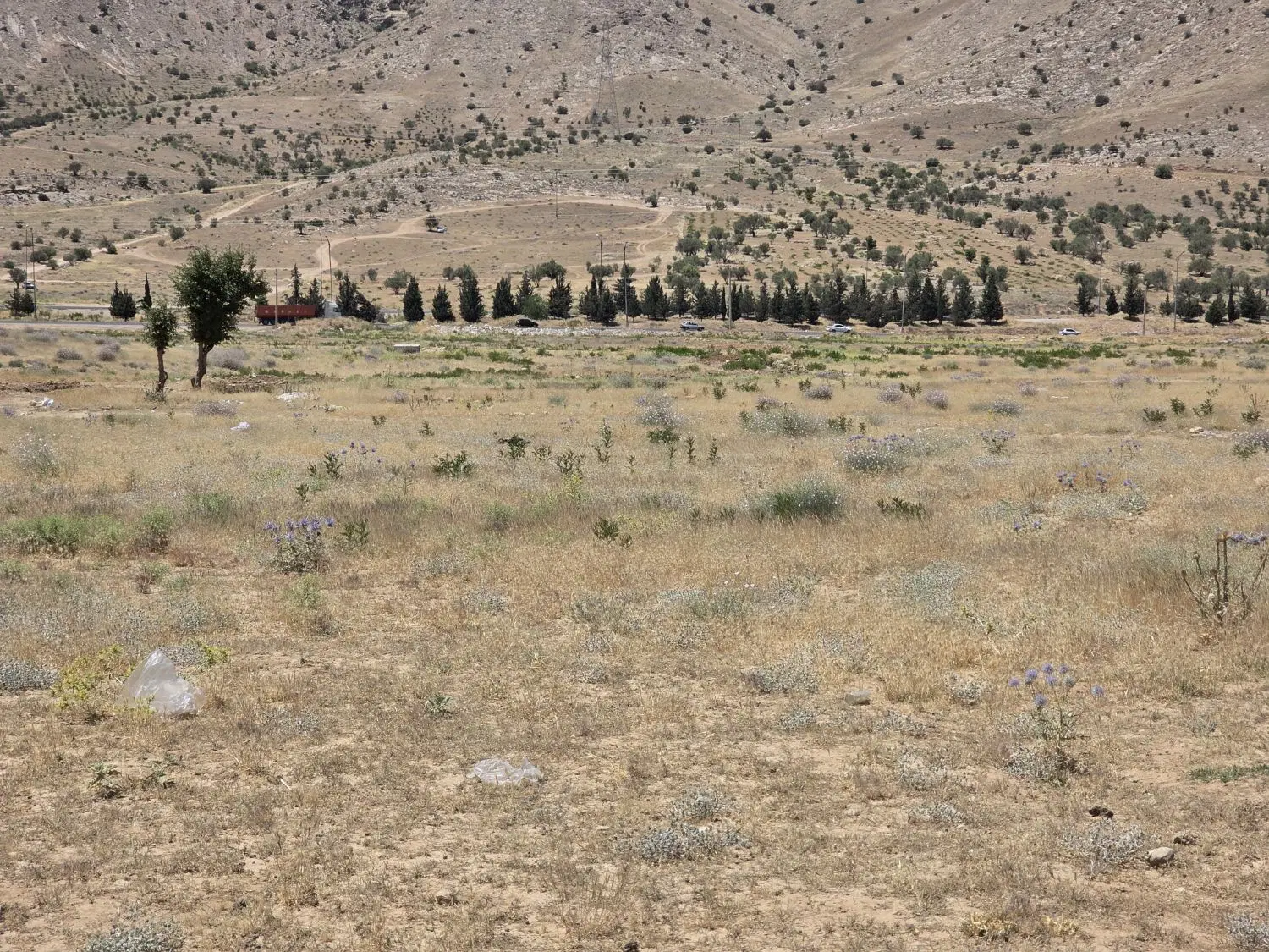 زمین ۳۵۳متری دوبر ، تجاری مسکونی محراب