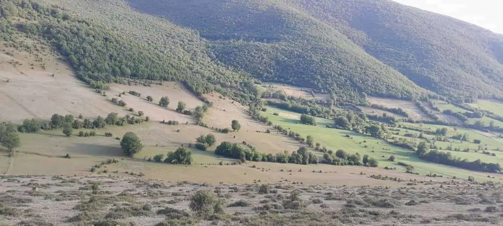 کجور،شهرپول،۹۷۵۰