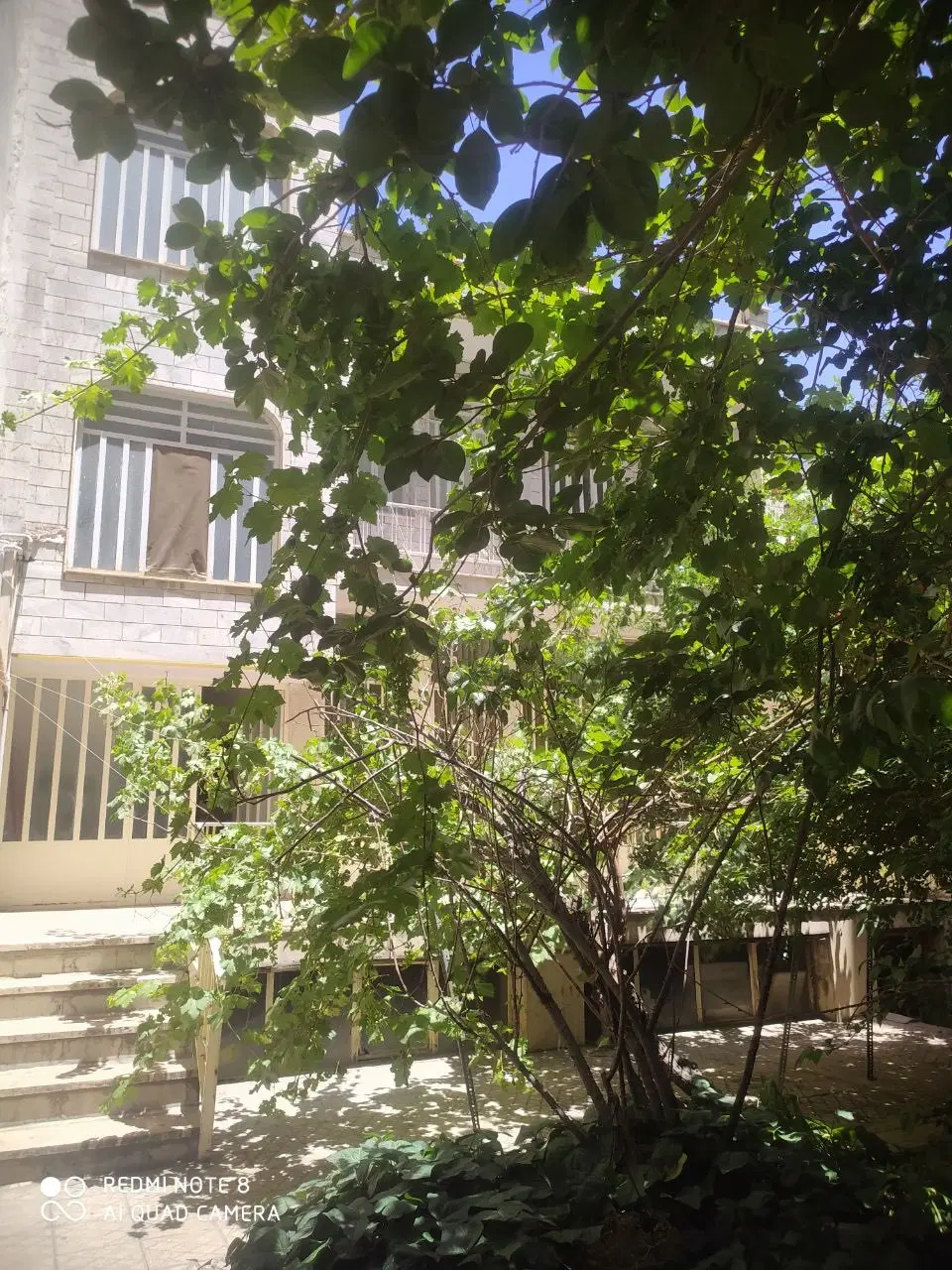 ویلایی مشجر بوعلی سینا