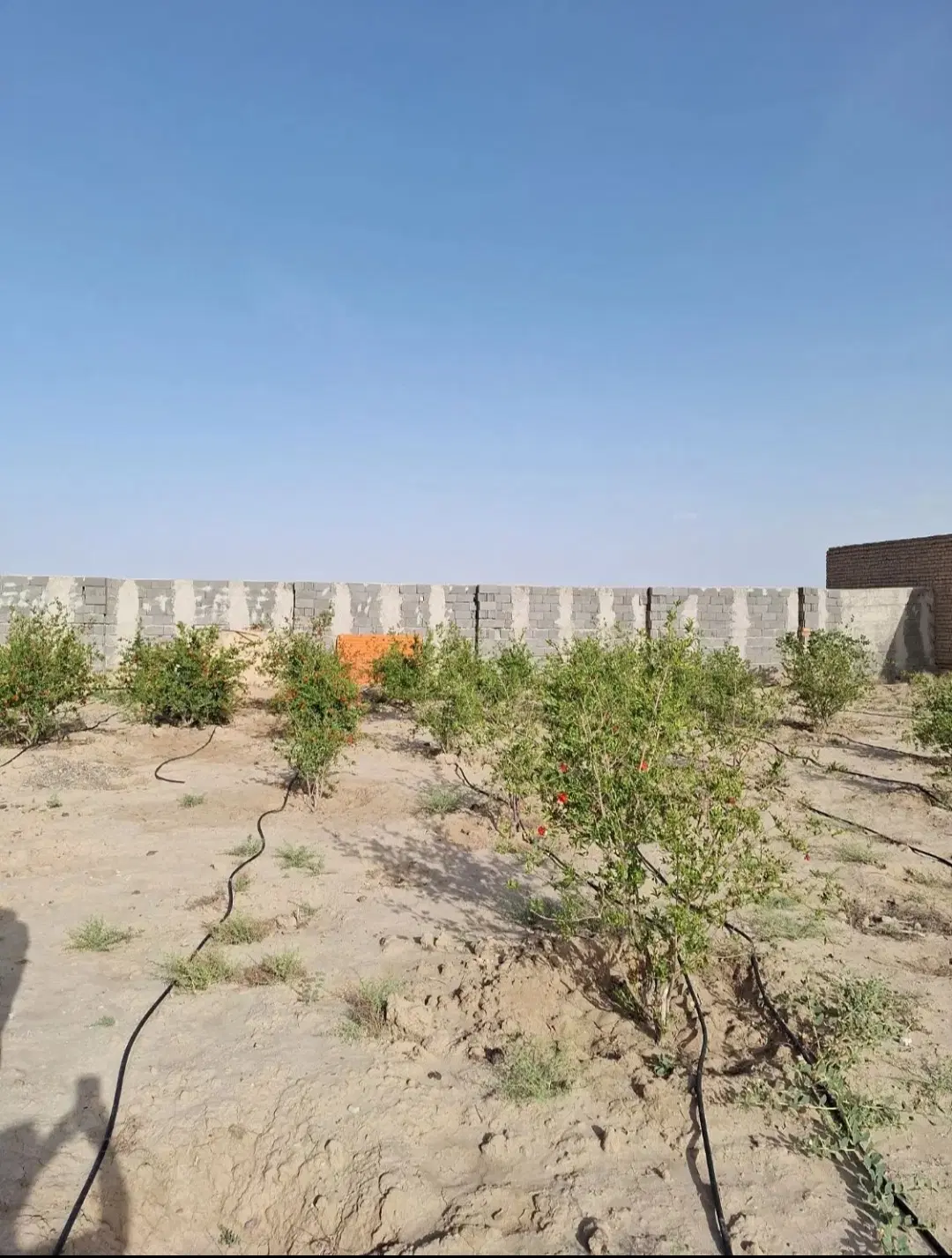 زمین در جاده یل آباد
