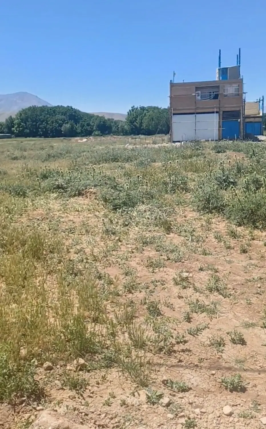 دو قطعه زمین در الشتر