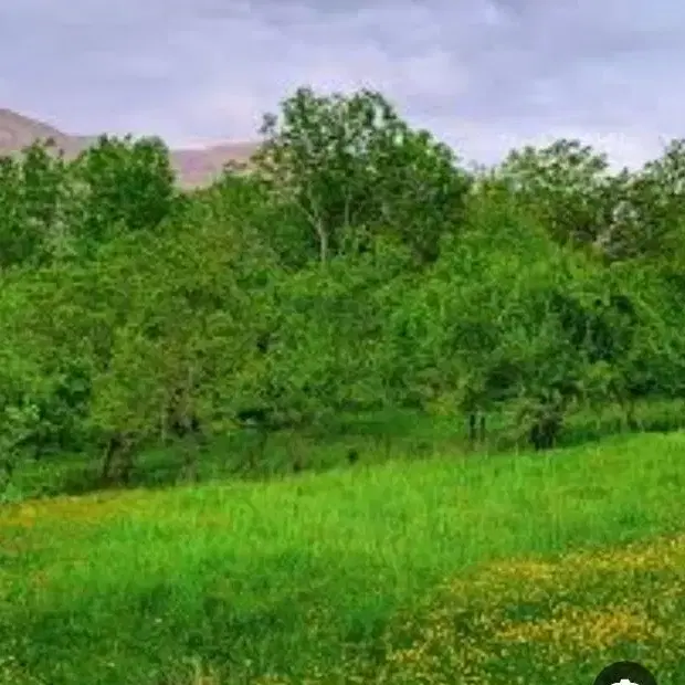 زمین ۹۰۰ متری محمد آباد بر اتوبان