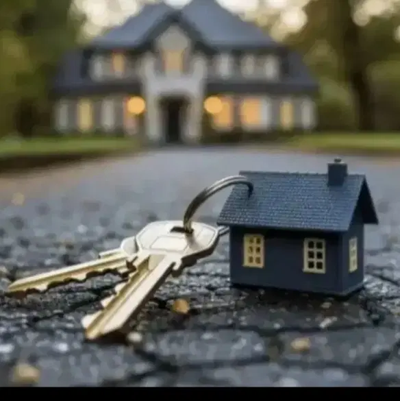 خیابان رجایی، پالاش