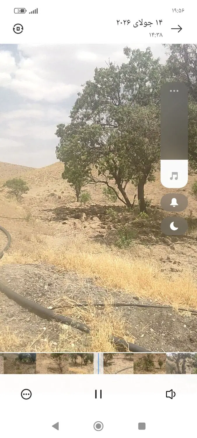 باغ در روستای حاجی آباد
