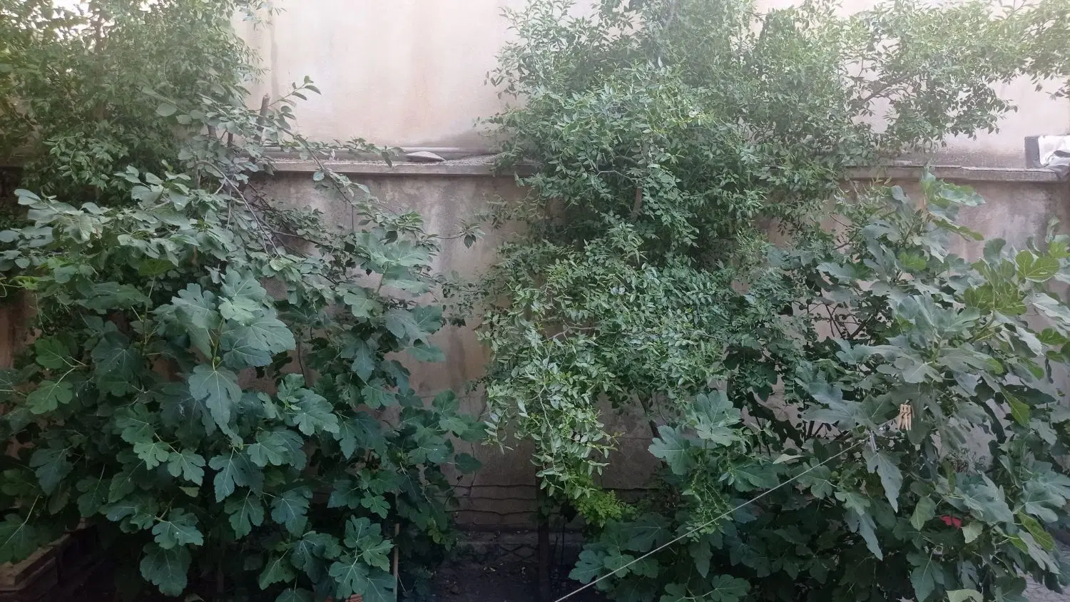 ۱۴۱ متر ویلایی بلوار جانبازان