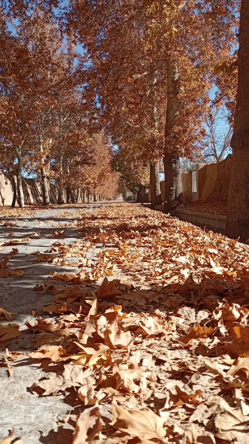 زمین ۲۶ قصب عباس آباد گلزار