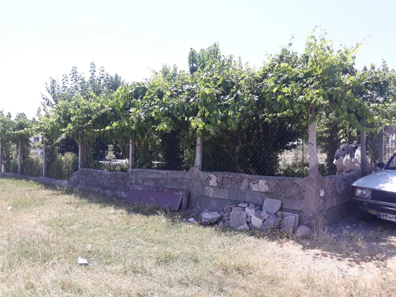 زمین