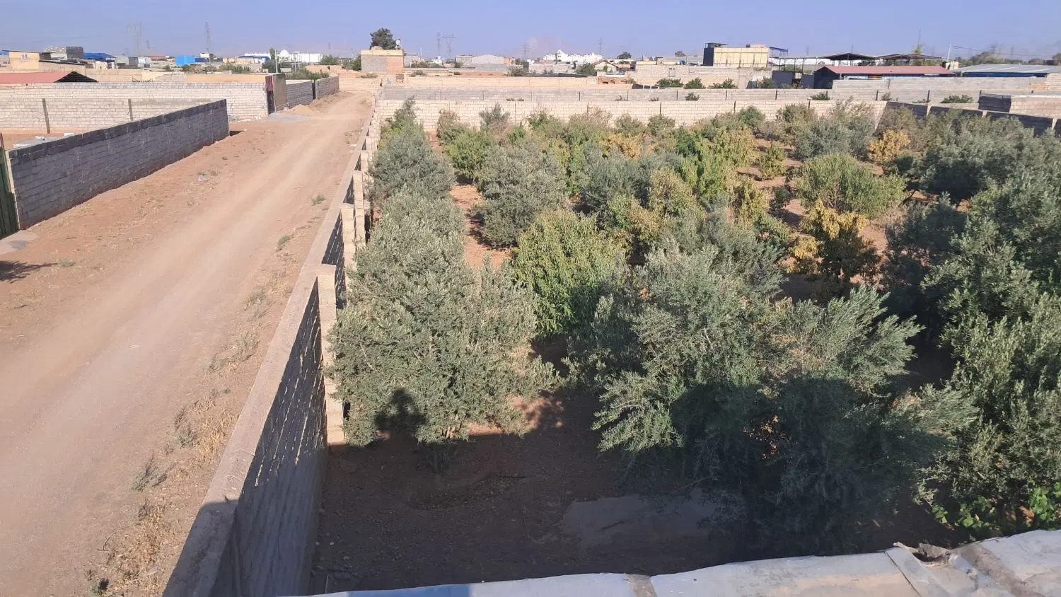 فروش باغ جلال اباد