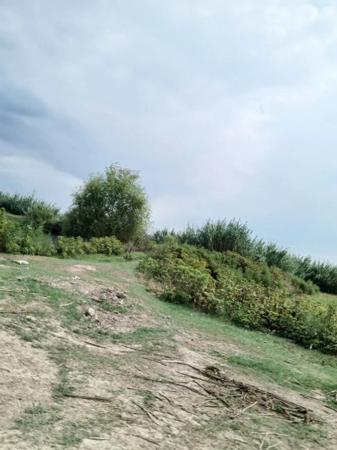 زمین عدالت ۸۸ ثبت اسناد