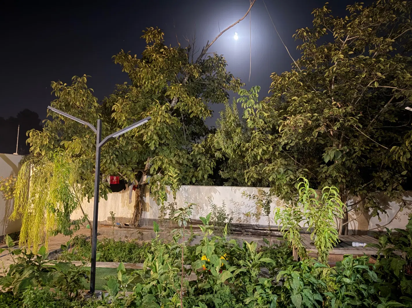 زمین فین بزرگ قیطرانیه