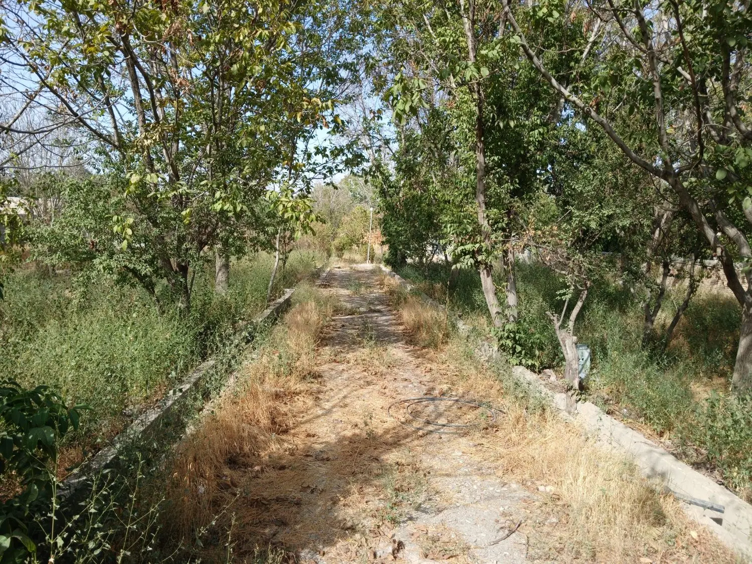 زمین ۵ هکتار گلستان مهرشهر