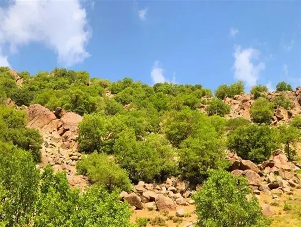 زمین کشاورزی حدود ۴۵۰۰ متر