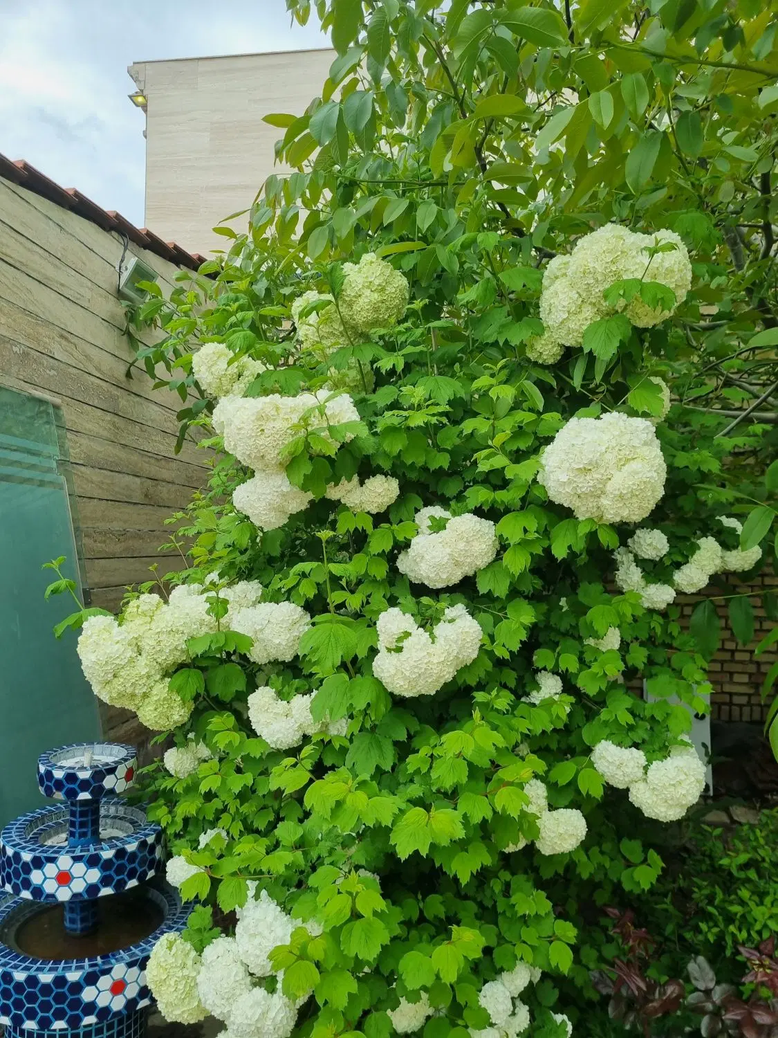 باغ ویلا مشهد