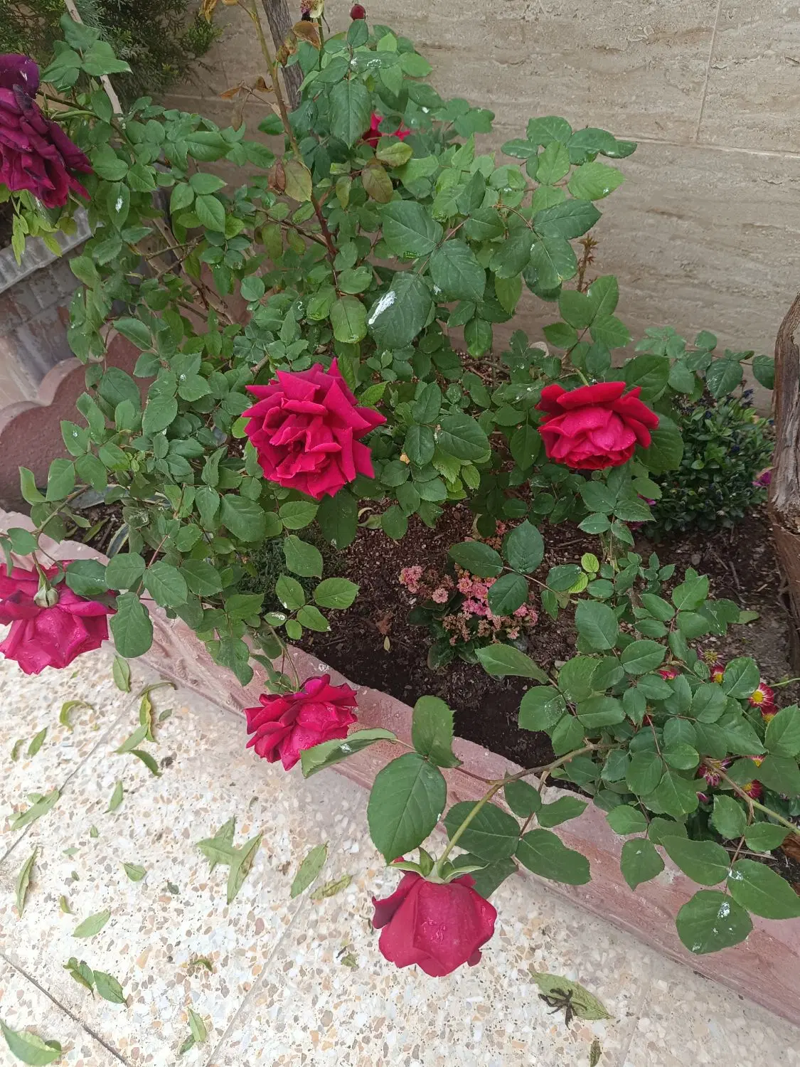 ملک ویلایی ۱۶۷متری بنا ۱۱۰متر