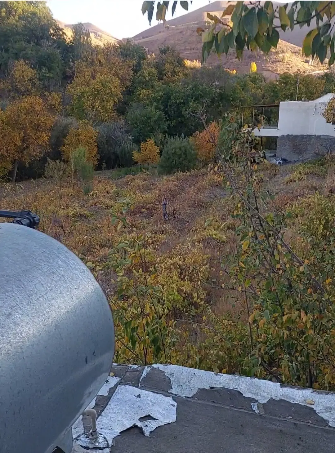 باغ جاده نوره و معاوضه